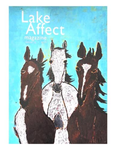 Lake Affect Magazine, Issue 33