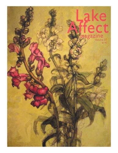 Lake Affect Magazine, Issue 37