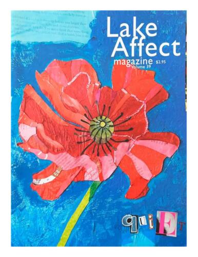 Lake Affect Magazine, Issue 39