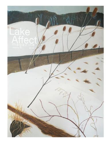 Lake Affect Magazine, Issue 44